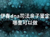 伊春dna司法亲子鉴定哪里可以做