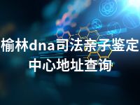 榆林dna司法亲子鉴定中心地址查询