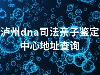 泸州dna司法亲子鉴定中心地址查询