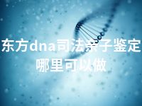 东方dna司法亲子鉴定哪里可以做