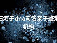 石河子dna司法亲子鉴定机构