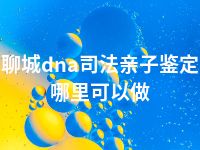 聊城dna司法亲子鉴定哪里可以做