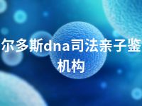 鄂尔多斯dna司法亲子鉴定机构