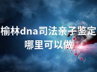 榆林dna司法亲子鉴定哪里可以做