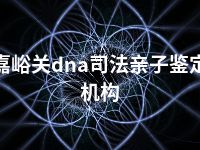 嘉峪关dna司法亲子鉴定机构