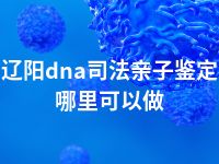 辽阳dna司法亲子鉴定哪里可以做