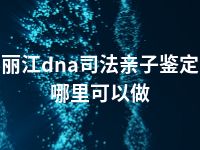 丽江dna司法亲子鉴定哪里可以做