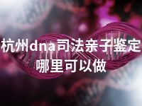 杭州dna司法亲子鉴定哪里可以做