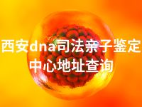 西安dna司法亲子鉴定中心地址查询