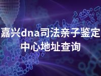 嘉兴dna司法亲子鉴定中心地址查询