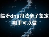 临汾dna司法亲子鉴定哪里可以做