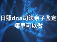 日照dna司法亲子鉴定哪里可以做