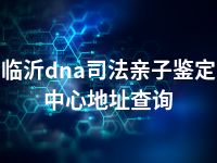 临沂dna司法亲子鉴定中心地址查询