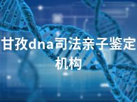 甘孜dna司法亲子鉴定机构