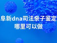 阜新dna司法亲子鉴定哪里可以做