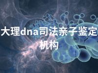 大理dna司法亲子鉴定机构