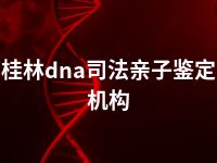 桂林dna司法亲子鉴定机构