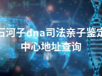 石河子dna司法亲子鉴定中心地址查询