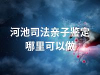 河池司法亲子鉴定哪里可以做