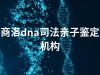 商洛dna司法亲子鉴定机构