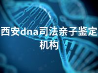 西安dna司法亲子鉴定机构