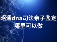 昭通dna司法亲子鉴定哪里可以做