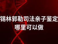 锡林郭勒司法亲子鉴定哪里可以做