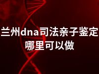 兰州dna司法亲子鉴定哪里可以做