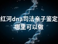 红河dna司法亲子鉴定哪里可以做