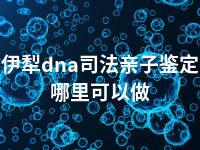 伊犁dna司法亲子鉴定哪里可以做