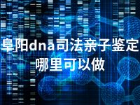 阜阳dna司法亲子鉴定哪里可以做