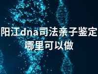 阳江dna司法亲子鉴定哪里可以做