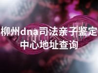 柳州dna司法亲子鉴定中心地址查询