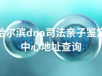 哈尔滨dna司法亲子鉴定中心地址查询