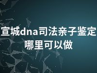 宣城dna司法亲子鉴定哪里可以做