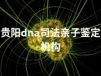 贵阳dna司法亲子鉴定机构