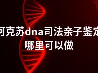 阿克苏dna司法亲子鉴定哪里可以做