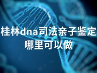 桂林dna司法亲子鉴定哪里可以做