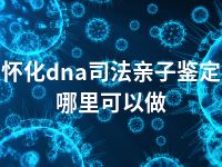 怀化dna司法亲子鉴定哪里可以做