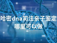 哈密dna司法亲子鉴定哪里可以做