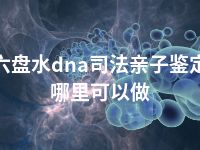 六盘水dna司法亲子鉴定哪里可以做