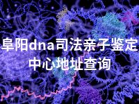 阜阳dna司法亲子鉴定中心地址查询