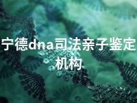 宁德dna司法亲子鉴定机构