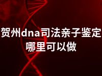 贺州dna司法亲子鉴定哪里可以做