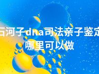 石河子dna司法亲子鉴定哪里可以做