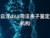 云浮dna司法亲子鉴定机构