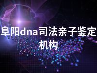 阜阳dna司法亲子鉴定机构