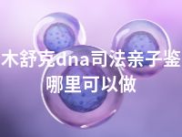 图木舒克dna司法亲子鉴定哪里可以做