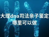 大理dna司法亲子鉴定哪里可以做