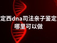 定西dna司法亲子鉴定哪里可以做